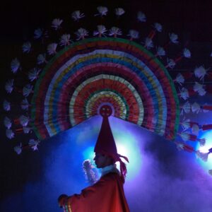 Explore the underwater wonders of Xel-Ha, Xcaret, Xenses with snorkeling adventures that reveal a vibrant marine life and stunning coral reefs.